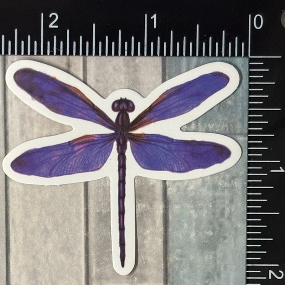 🌀10/$10🌀 Dragonfly Reusable Waterproof Sticker Decal - Picture 1 of 1
